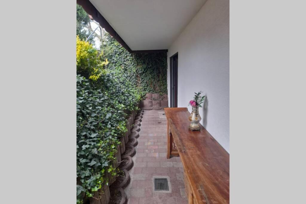 Souterrain Wohnung In Bensheim Buitenkant foto